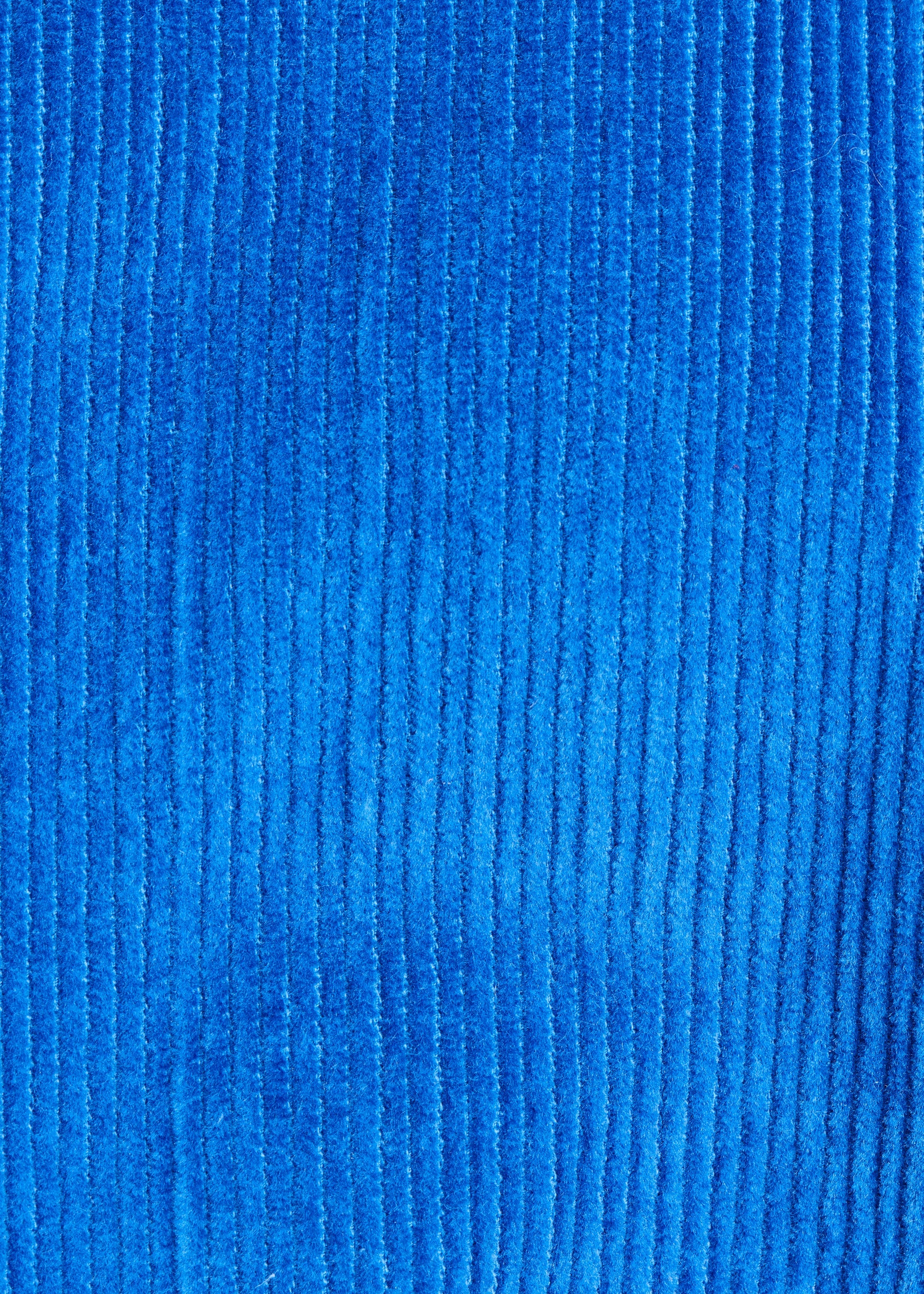 Veste courte zippée bleu roi en velours